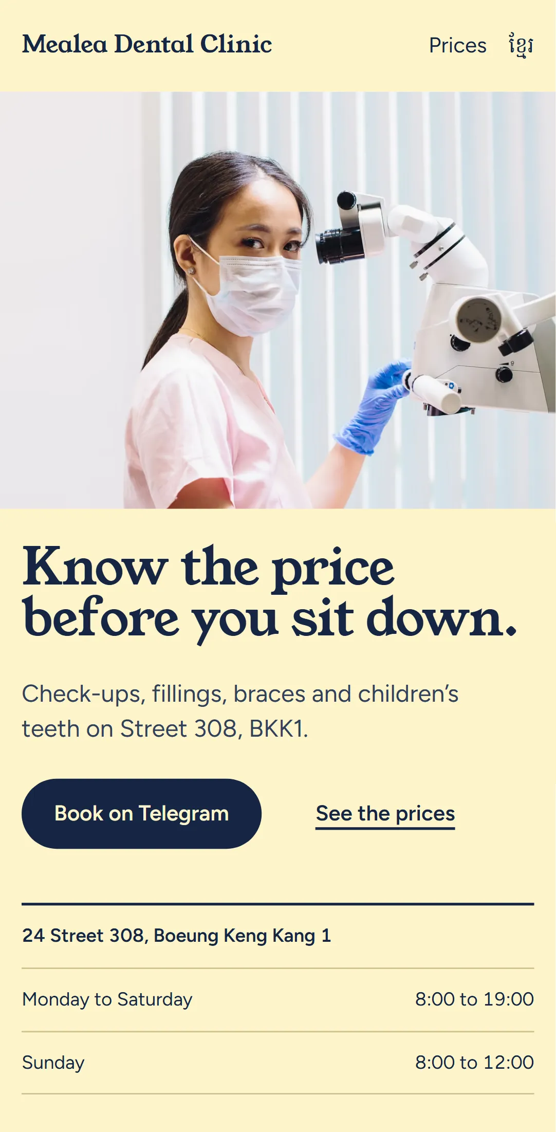 The Mealea Dental Clinic demo on a phone
